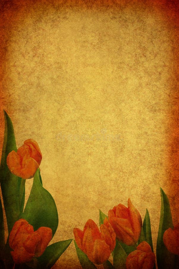 Collage royalty free stock image