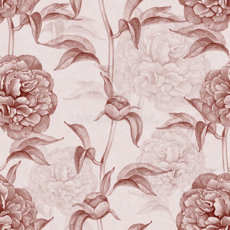 Vintage pattern with peony drawings