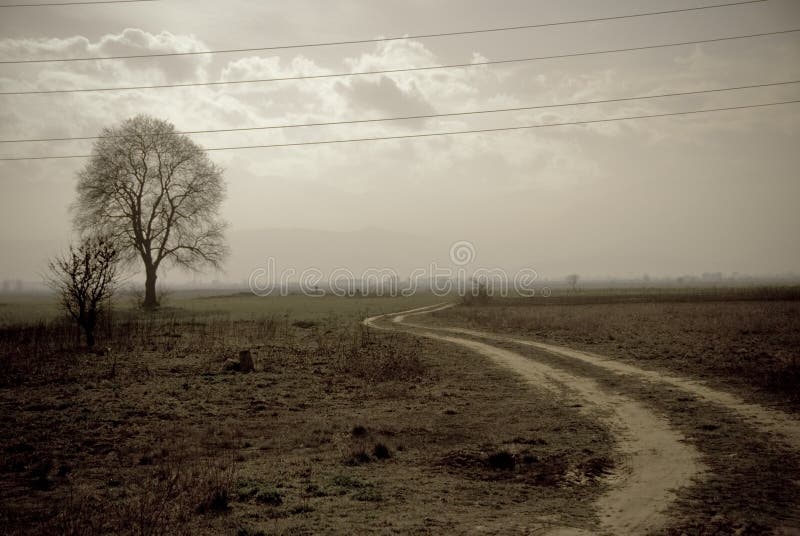 Vintage photo landscape