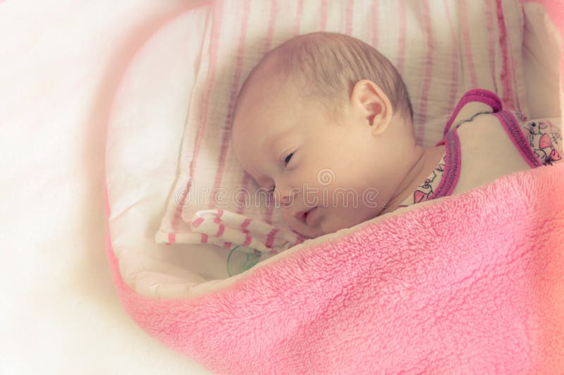 Swaddled, Sleeping Newborn Baby Girl Stock Image Image of sheepskin