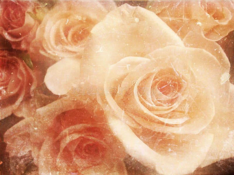 Vintage photo of roses