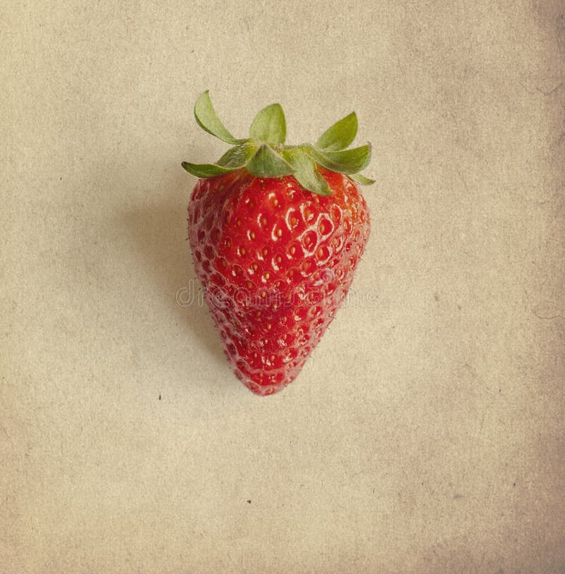 Vintage Photo of Strawberry Stock Photo Image of retro, vintage 31009378