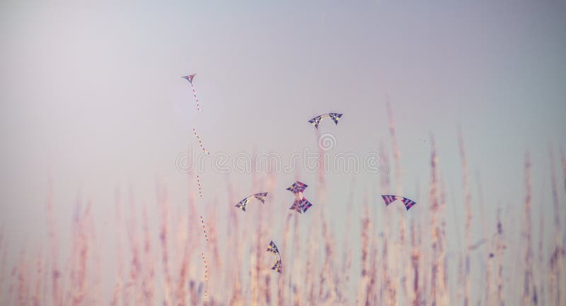 Vintage picture of Colorful Kites Flying in Blue Sky behind grass.