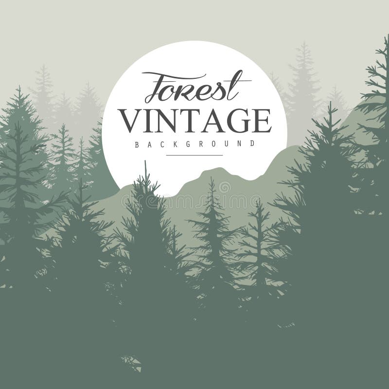 Vintage Pine Forest. Vector Illustration