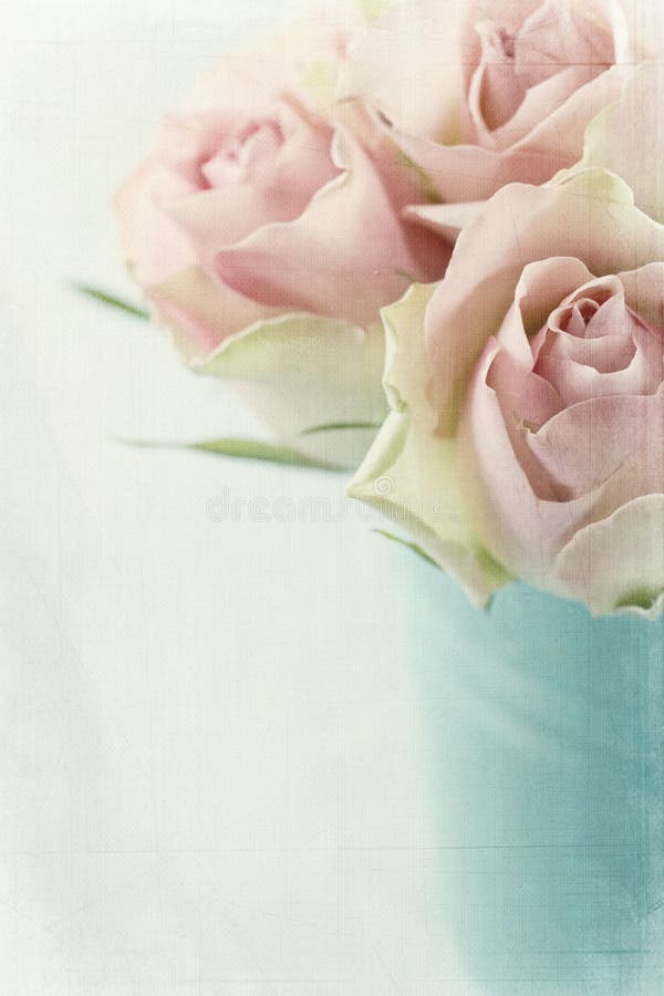 Vintage pink roses stock image
