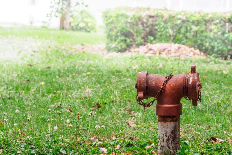 Vintage red fire Hydrant in park stock photography