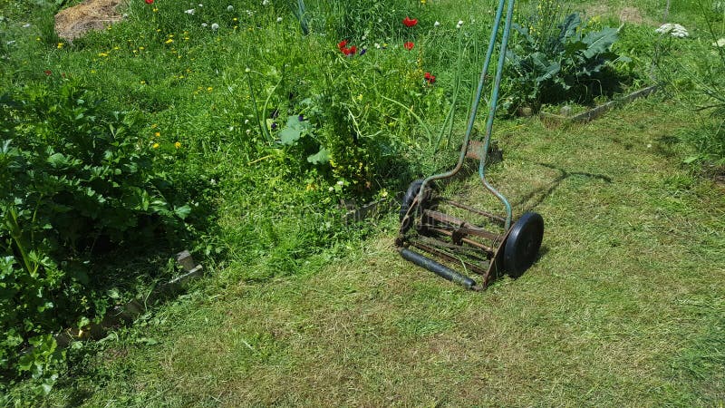 177 Reel Mower Stock Photos - Free & Royalty-Free Stock Photos from  Dreamstime