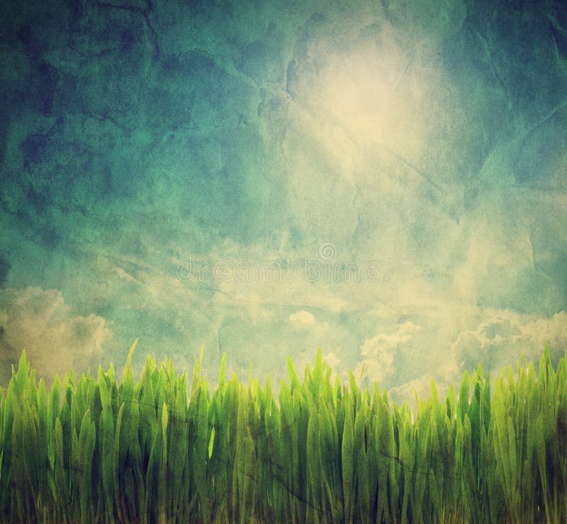 Vintage, retrò immagine del paesaggio naturale, con l'erba e il cielo sereno.