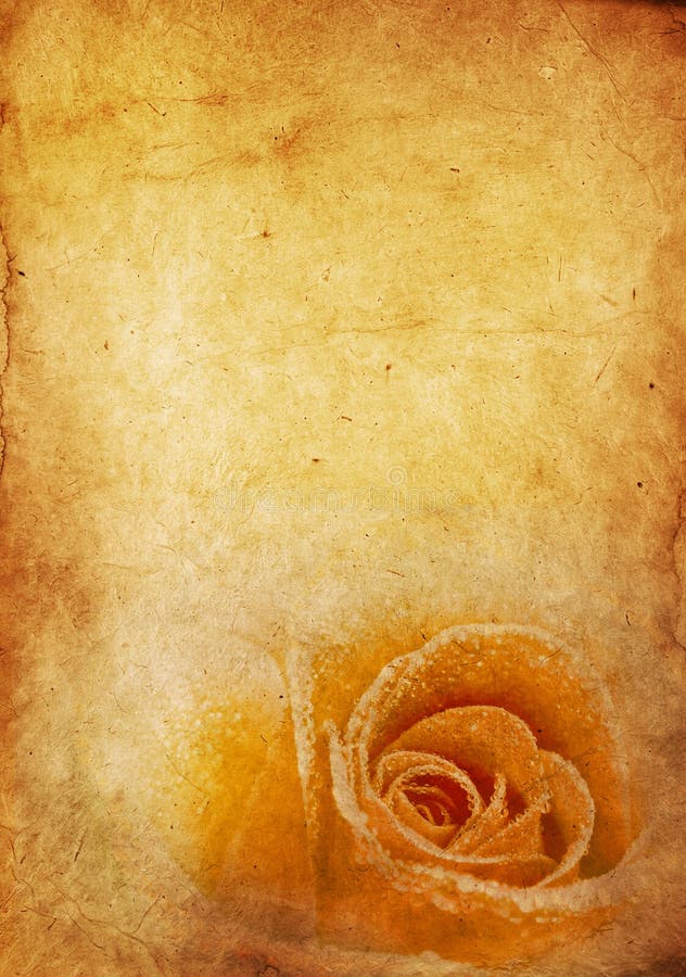 Vintage Rose Background royalty free stock photo