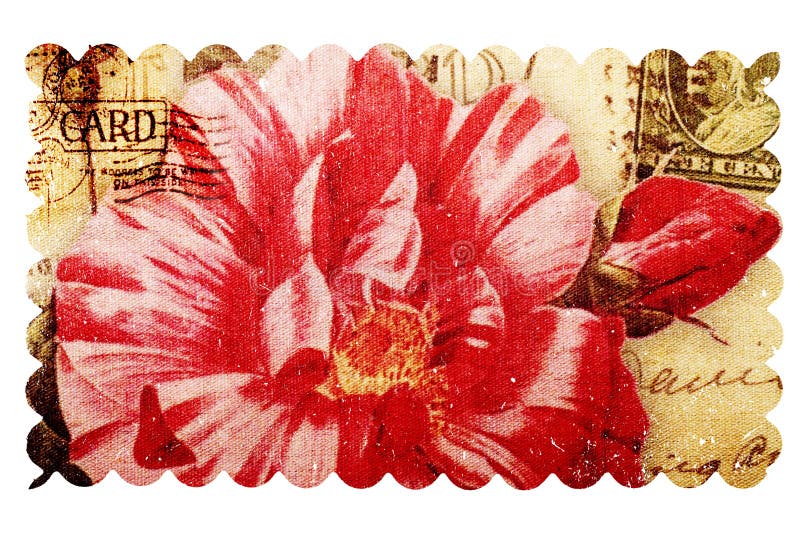 Vintage Rose postcard stock image. Image of card, design 57589971