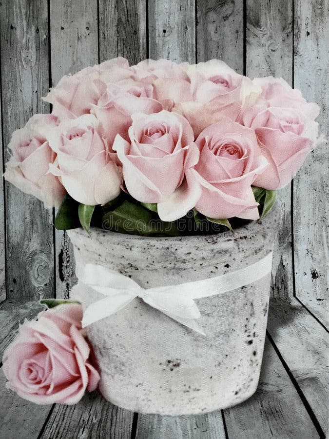 Vintage Roses Flowers With Old Wood Background Stock Photo Image of