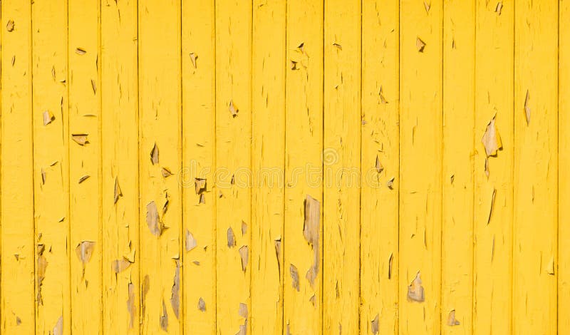 Nền tường gỗ vôi ốp lỗi thời màu vàng sẽ khiến cho căn phòng của bạn trở nên độc đáo và lạ mắt. Với vân gỗ tinh tế và màu vàng sáng lấp lánh, nền tường này sẽ mang đến không gian sống đầy cảm hứng và sức sống.