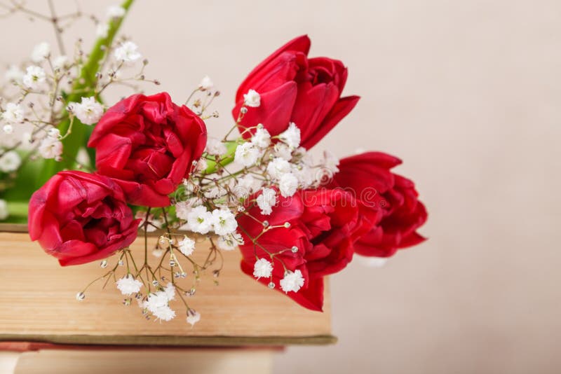 Vintage still Life with a spring red tulips and a books on a beige background. Mother`s day, women`s day concept