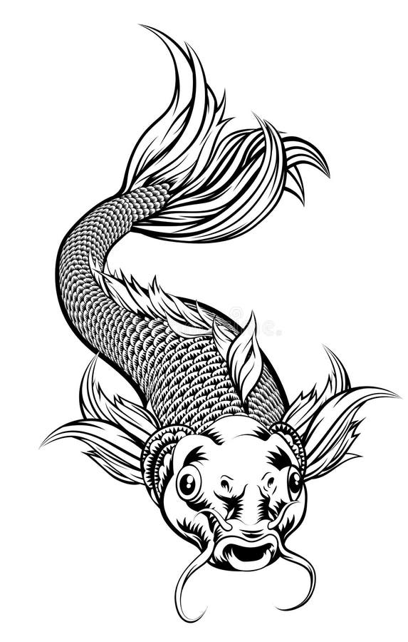 Koi fish drawing Royalty Free Vector Image - VectorStock