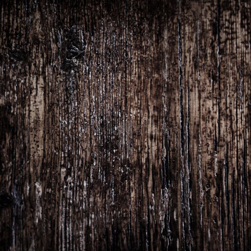 Vintage texture of bark wood natural background, dark brown colo stock photography Vintage texture of bark wood natural background, dark brown colo stock photography