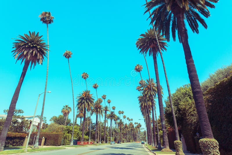 Vintage toned street in Beverly Hills with famous palms along the road