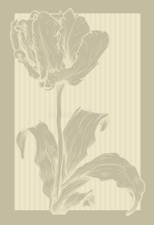 Vintage tulip.