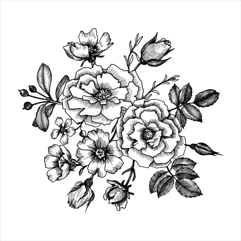 Vintage vector floral set stock vector. Illustration of garden - 55838885