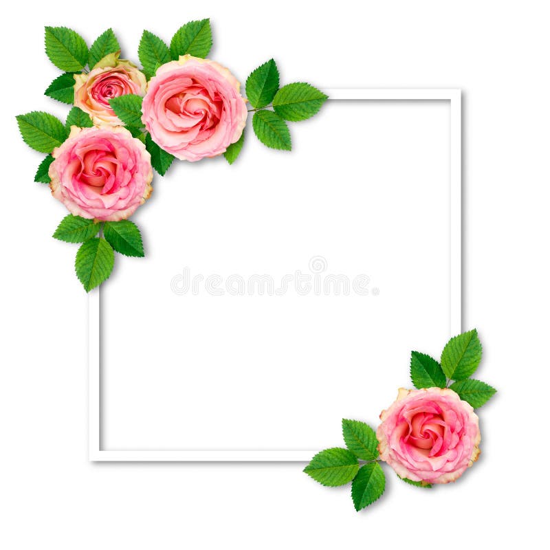 598 White Pink Rose Circle Wedding Frame Stock Photos - Free & Royalty-Free  Stock Photos from Dreamstime