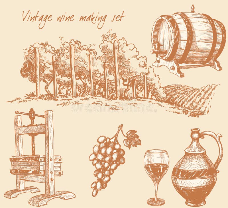 Disegnato a mano il vino e il vino insieme.