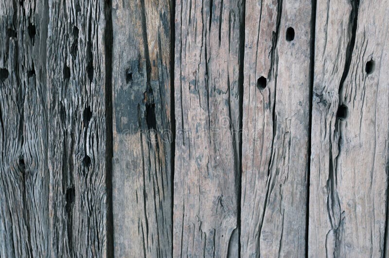 Vintage Wood Texture Background Stock Photo Image of gray, abstract