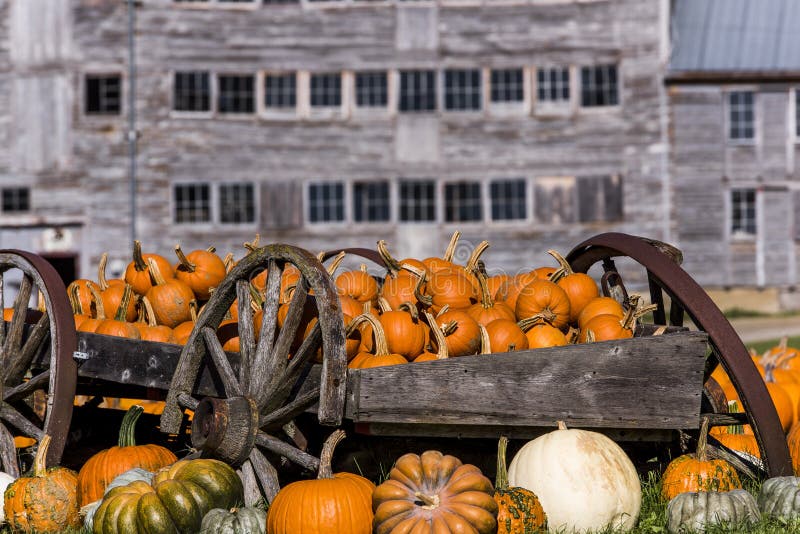 Vintage Wooden Cart Wheels Pumpkins Vermont Stock Photos - Free ...