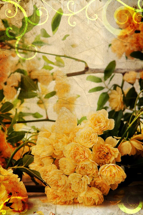 42+ Vintage yellow roses Free Stock Photos StockFreeImages