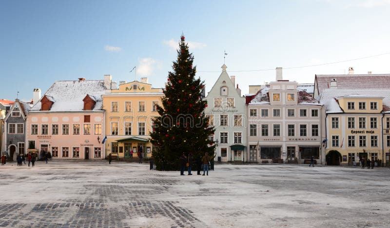 vinter för sikt för tree för filialgransnow Monument Torgils Knutsson tallinn estonia arkivfoton vinter för sikt för tree för filialgransnow Monument Torgils Knutsson tallinn estonia arkivfoton