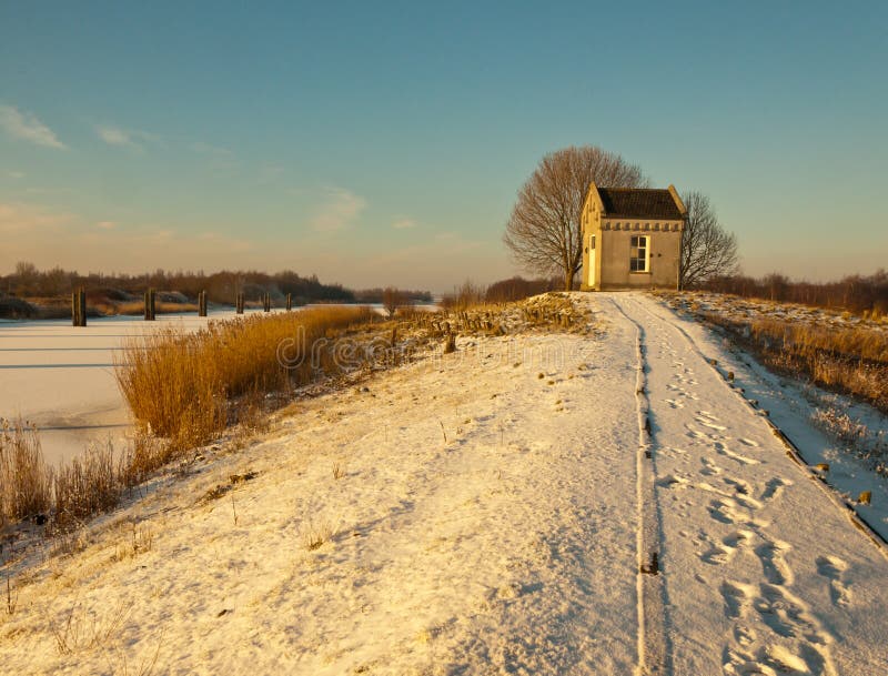 vinter för sun för eftermiddagliggande låg royaltyfri foto vinter för sun för eftermiddagliggande låg royaltyfri foto