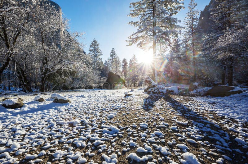 Vinter i Yosemite arkivbilder Vinter i Yosemite arkivbilder
