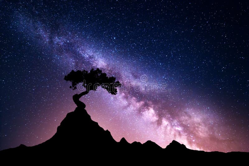 Milky Way and tree on the mountain. Old tree growing out of the rock against night starry sky with purple milky way. Night landscape. Space background. Galaxy. Mountain ridge. Wilderness, wild nature. Milky Way and tree on the mountain. Old tree growing out of the rock against night starry sky with purple milky way. Night landscape. Space background. Galaxy. Mountain ridge. Wilderness, wild nature