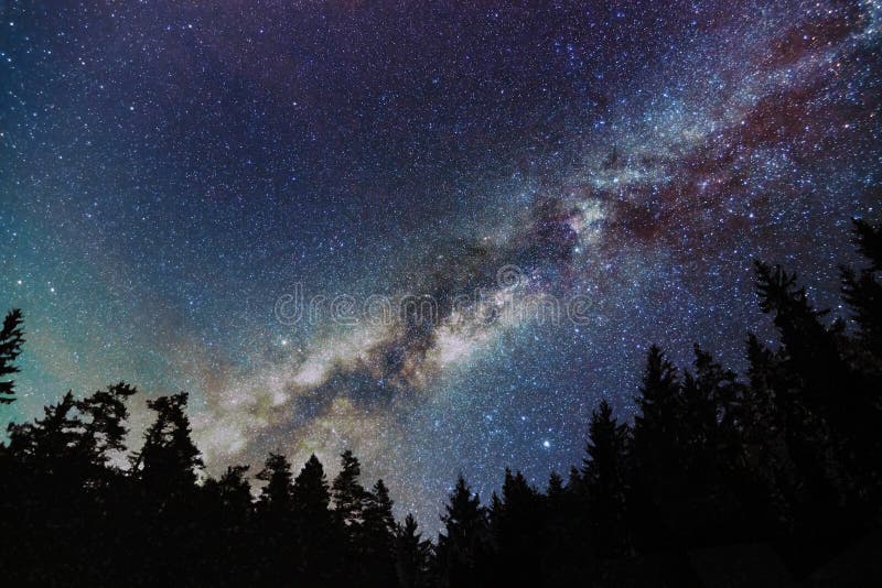 Vintergatangalax, stjärnklar himmel med träd starry natt royaltyfria bilder Vintergatangalax, stjärnklar himmel med träd starry natt royaltyfria bilder