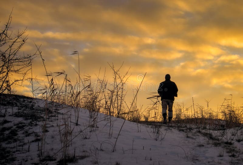 Vinterjakt på soluppgång Jägareflyttning med hagelgeväret arkivfoton Vinterjakt på soluppgång Jägareflyttning med hagelgeväret arkivfoton