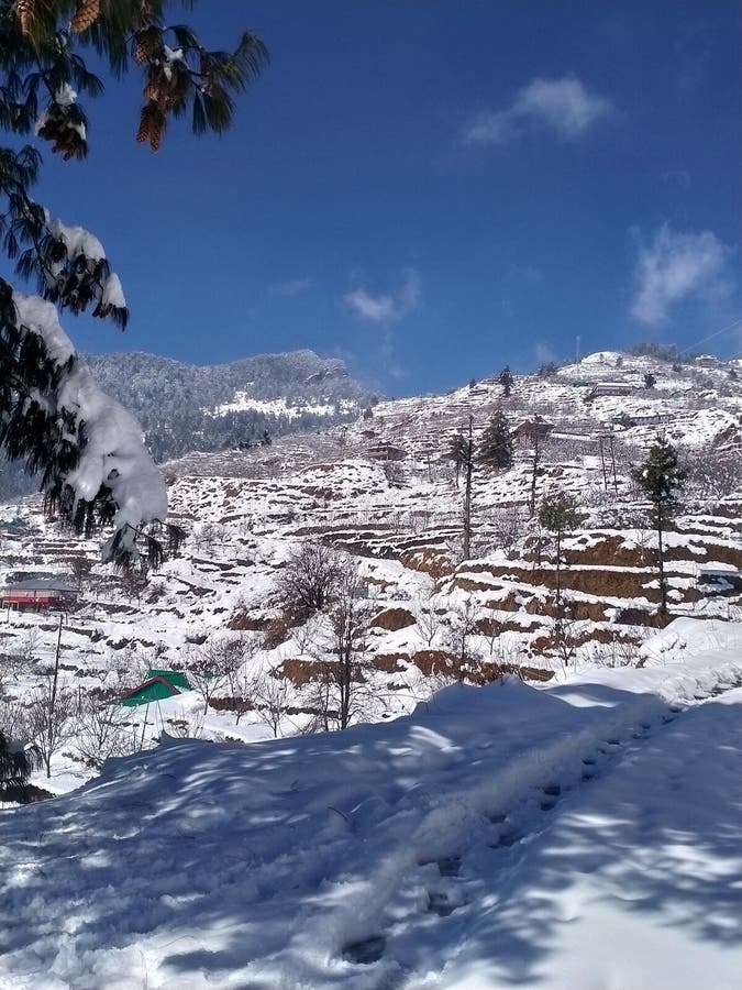 View of hills in winter.. heavy snowfall in shimla hilla. View of hills in winter.. heavy snowfall in shimla hilla