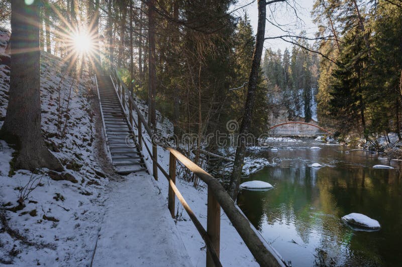 Vinterlandskap i Taevaskoja : Snowy Path Stairs till Ahja River Sun genom Spruces Refltions på vatten royaltyfria bilder