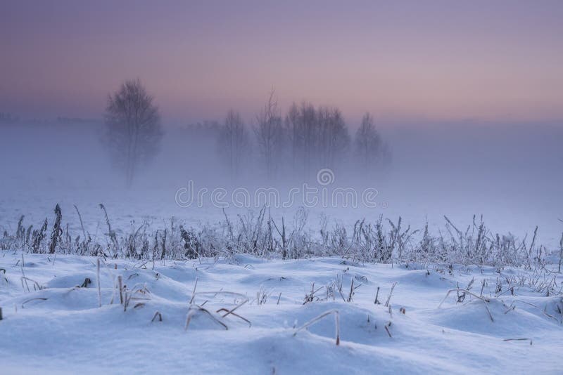 Vinterlandskap på gryning Snöig vinternatur i ottan extra bakgrundsformatxmas Dimmigt och frostigt landskap med klar himmel arkivfoto