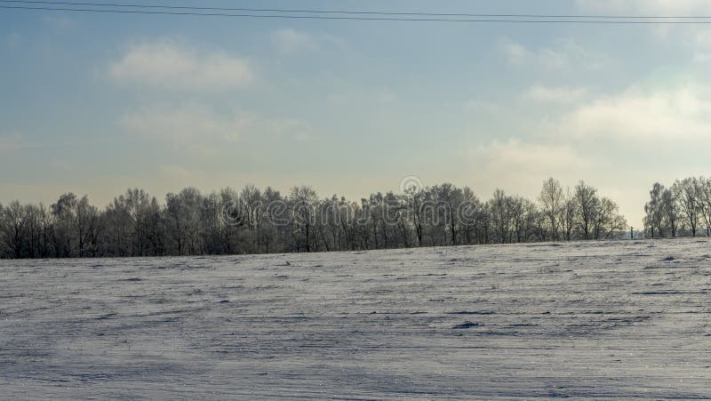 Vinterlandskap på åkermark under snö med träd i bakgrunden. vinterlandskap med snötäckt landskap. utrymme för text