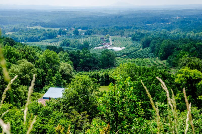 Vinyard in a distance of virginia mountains