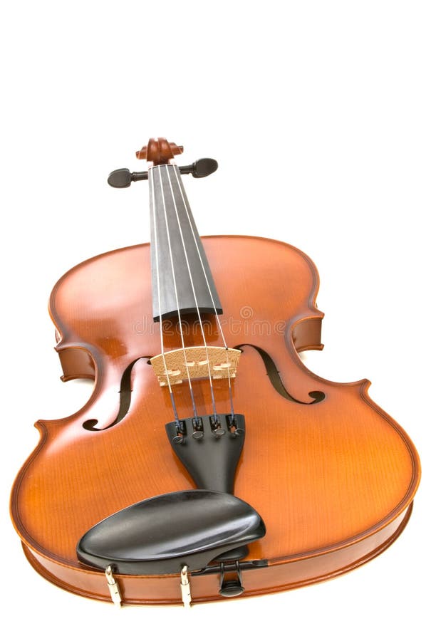 Viola oder Violine