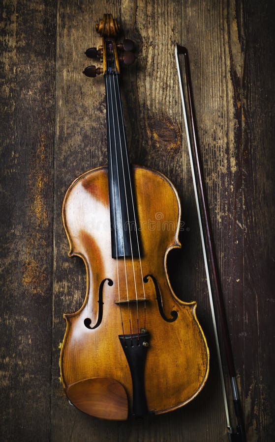 Viola stock photo