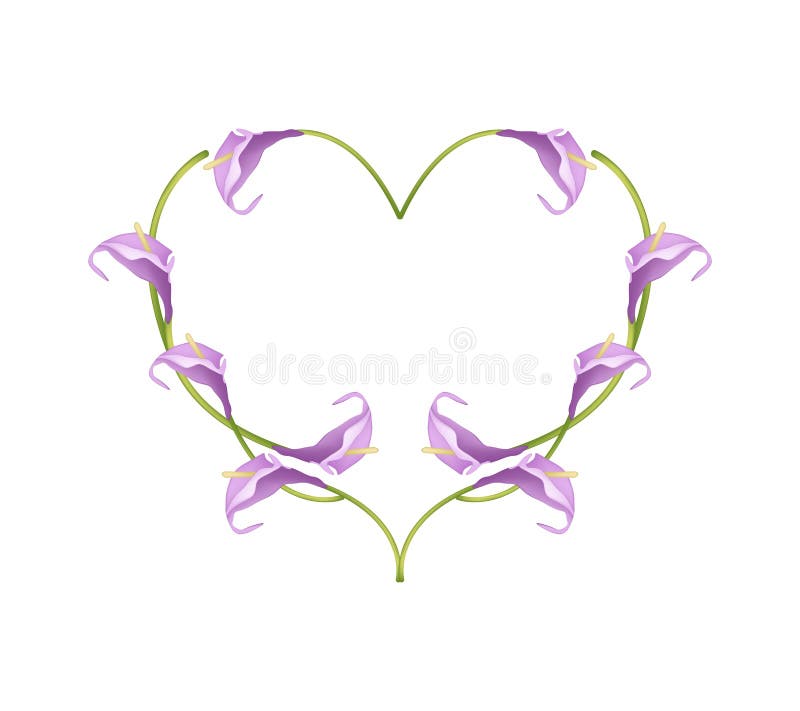 Violet Anthurium Flowers bonita na forma do coração ilustração royalty free Violet Anthurium Flowers bonita na forma do coração ilustração royalty free