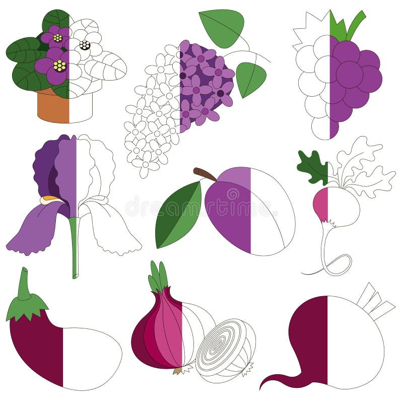 Violet Color, le grand jeu d'enfant à colorer par exemple demi illustration libre de droits Violet Color, le grand jeu d'enfant à colorer par exemple demi illustration libre de droits