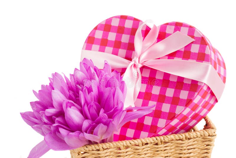 Violet Crocus Flowers and Gift Box Stock Photo Image of gift, green