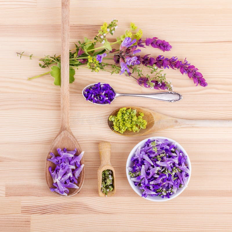 Violet, edible flowers stock image. Image of medicinal 97831831