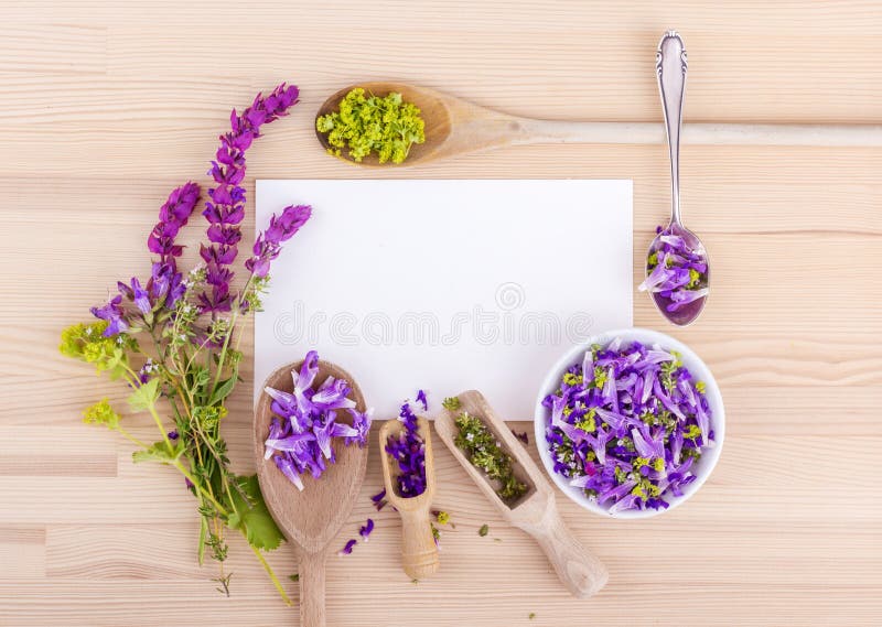 Violet, edible flowers stock image. Image of medicinal 97831831