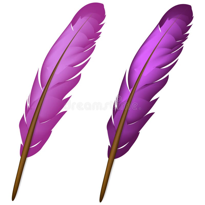 Violet feather