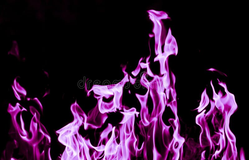 Violet flame fire on black background