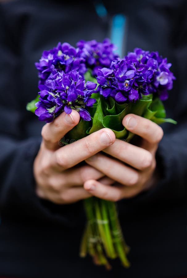Violet flowers bouquet stock image. Image of violaceae 39348043