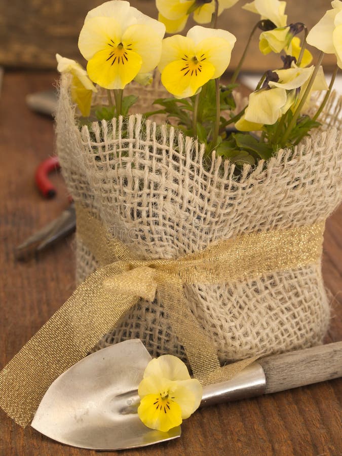 Violet flowers with garden equipment