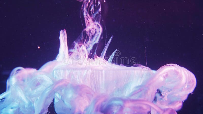 Violet liquide de cube en verre de peinture de perles de démarrage banque de vidéos